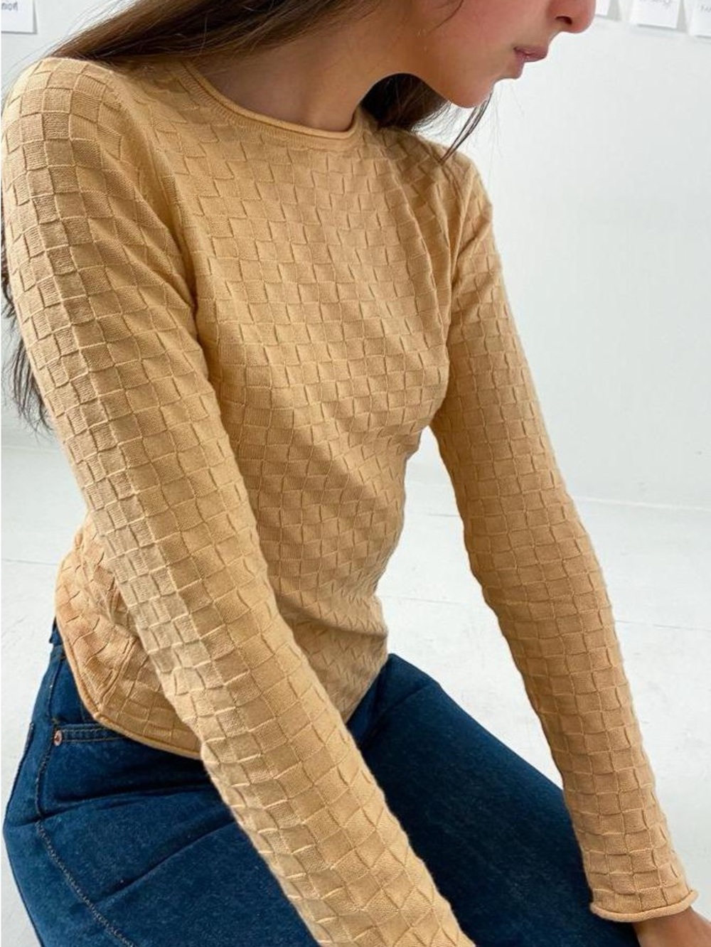 Ajaie Alaie sweater